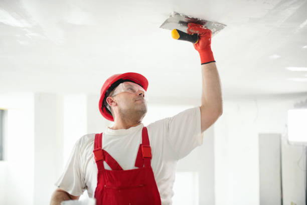 Drywall and Painting Service